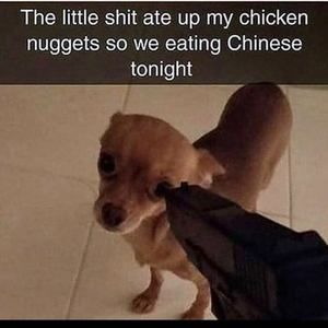 Meet your Posher, Christopher